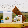 HERBEE-VET - obrazek 2