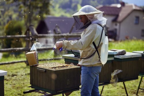 SPECIALISED DEVICE FOR BEE SWEEPING AND PRECISE DOSING OF FLUIDS IN THE HIVE - Image 2