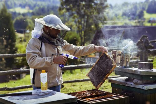 SPECIALISED DEVICE FOR BEE SWEEPING AND PRECISE DOSING OF FLUIDS IN THE HIVE - Image 3