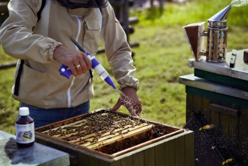 SPECIALISED DEVICE FOR BEE SWEEPING AND PRECISE DOSING OF FLUIDS IN THE HIVE - Image 4