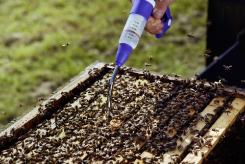 SPECIALISED DEVICE FOR BEE SWEEPING AND PRECISE DOSING OF FLUIDS IN THE HIVE - Image 5